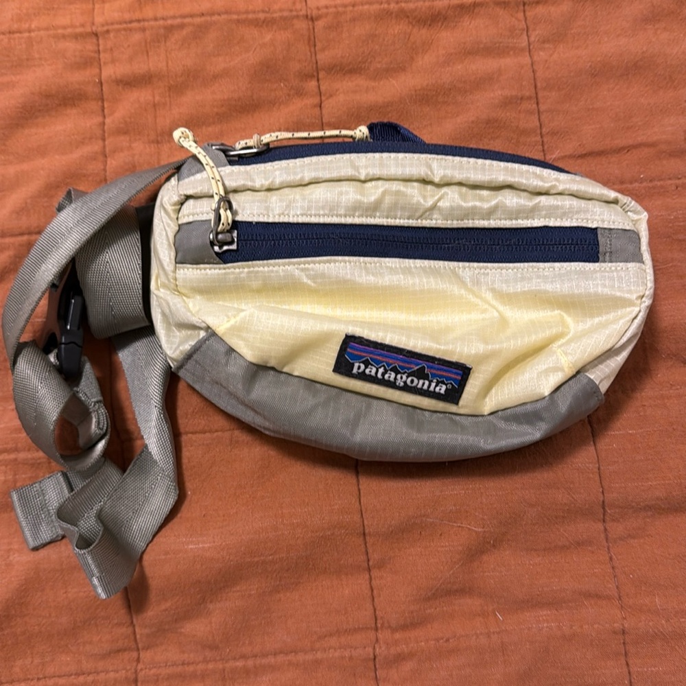 Patagonia mini hip pack